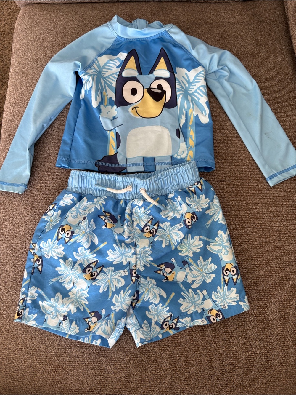 Blue Kids Rash Guard Set with Cartoon Character
